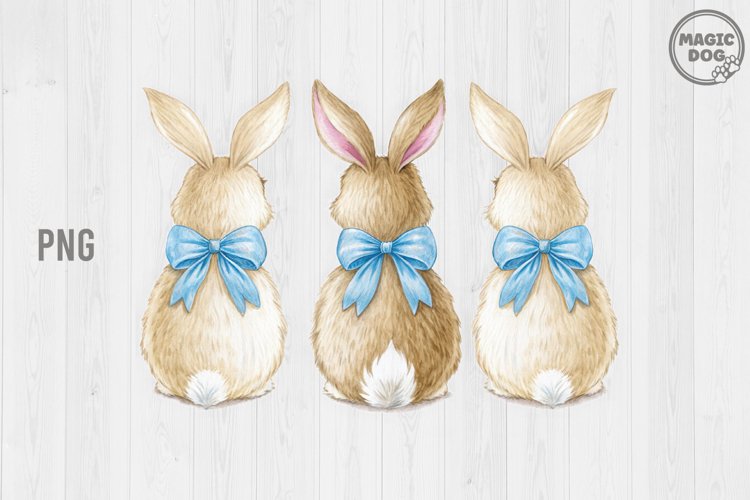 Easter Bunny Png Image 17