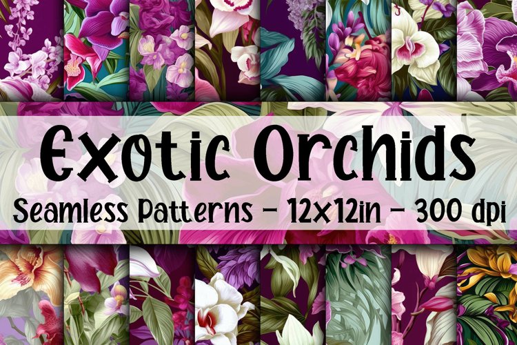 Orchid Clipart Image 10