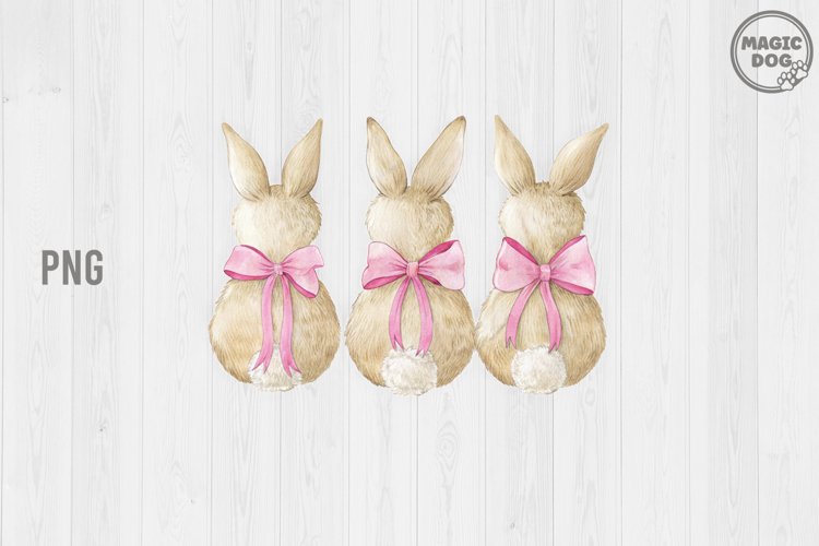 Easter Bunny Png Image 18