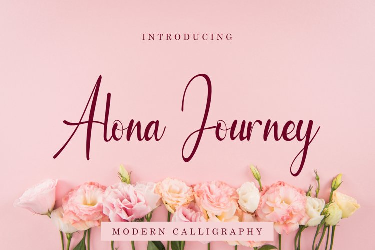 Alona Journey example image 1