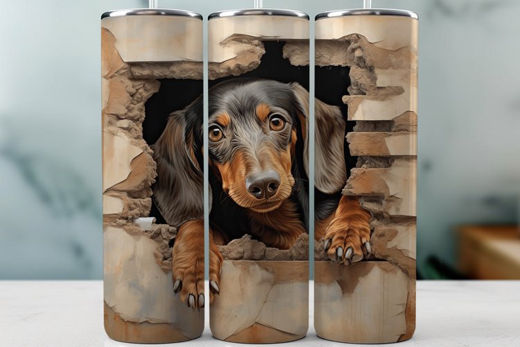 Dachshund Png Image 15