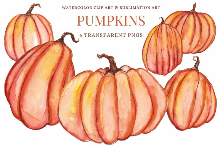 Pumpkins Watercolor Clip Art Illustrations Fall Autumn Sub example image 1