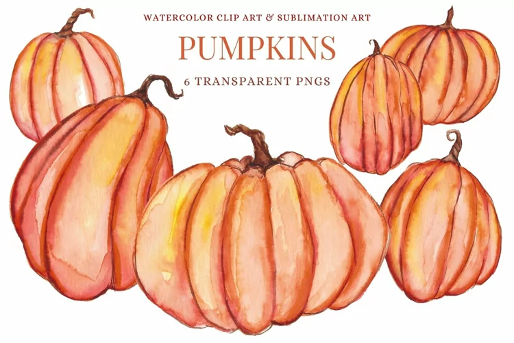 Pumpkins Watercolor Clip Art Illustrations Fall Autumn Sub