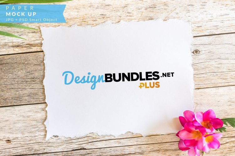 Paper, Stationery Mock up example image 1
