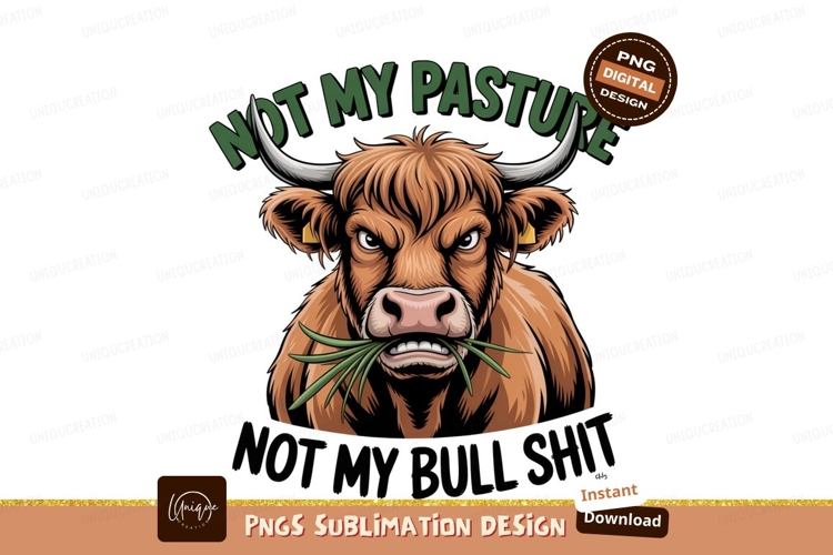 Angry highland cow chewing grass animal mammal