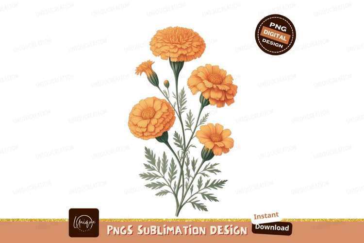 Crab Illustration Image 11