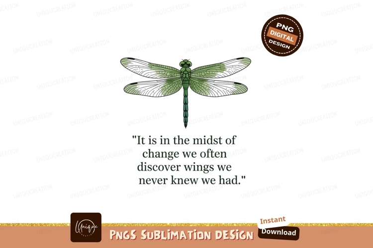 Dragonfly Clipart Image 12