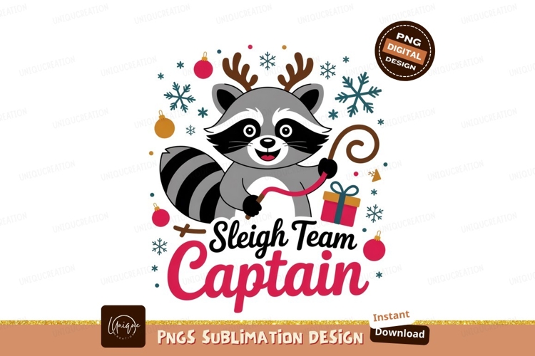 Raccoon Clipart Image 13