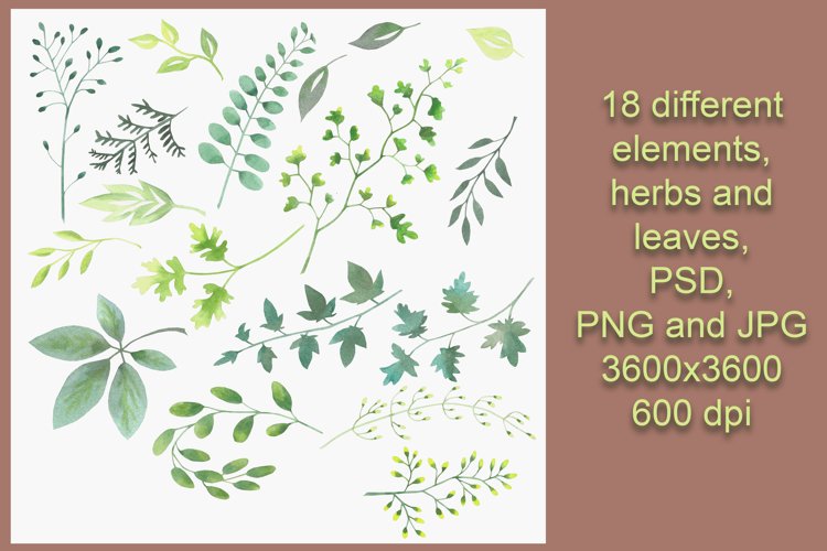 Watercolor Leaves Clipart Image 6
