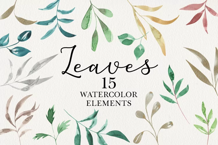 Watercolors Painted Leaves Hand Painted Leaf Foliage