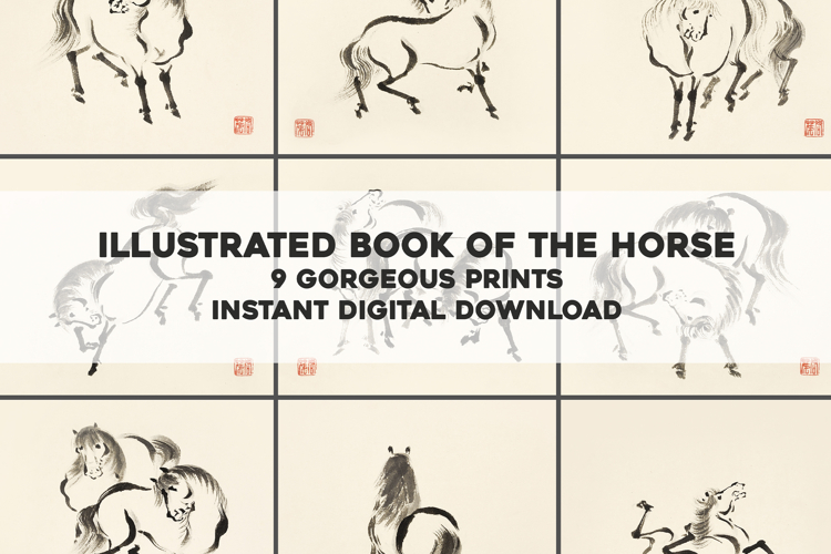 9 Vintage Japanese Horse Illustrations Bundle