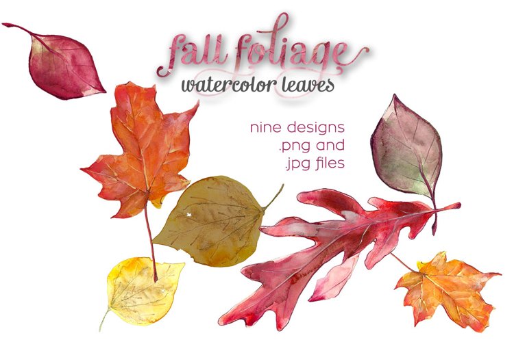 Fall Foliage Watercolor Illustrations example image 1