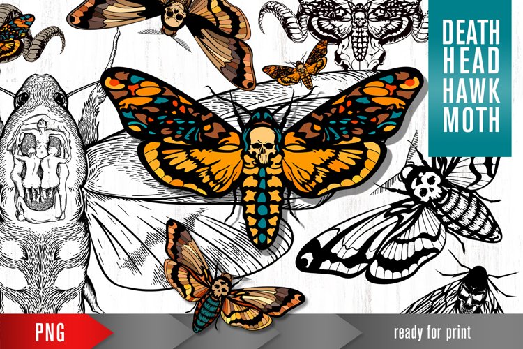 T-Shirt Design PNG Image 20