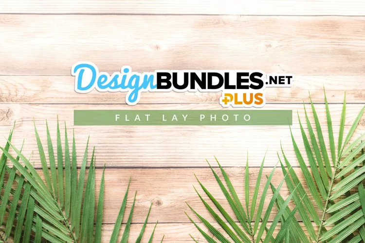 Decorative Palm Leaves | Summer Flat Lay Photo