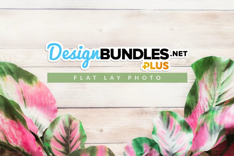 Decorative Tropical Leaves | Summer Flat Lay Photo