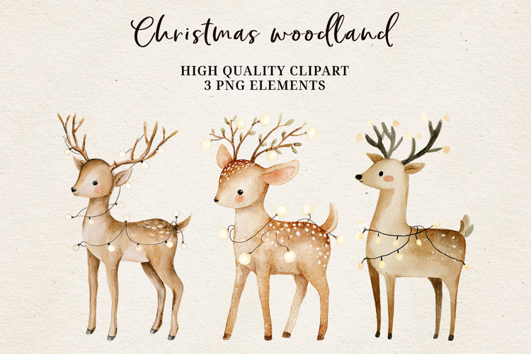 Christmas Woodland Deer | Elegant Reindeer with Lights PNG
