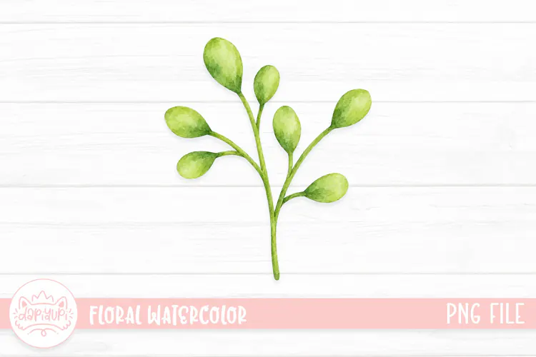 Floral Watercolor Illustration, Flower Watercolor Decoration