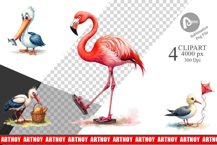 Derpy Beach Birds Sublimation