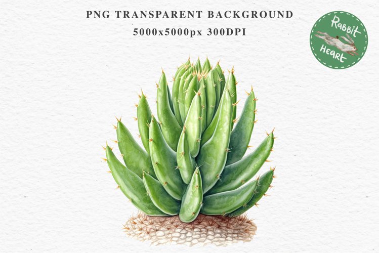 Transparent Background Flower Clipart Image 16