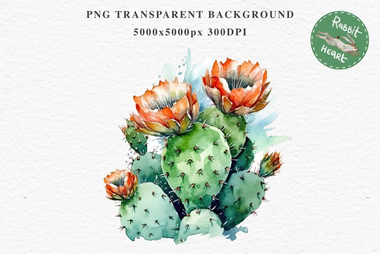 Transparent Background Flower Clipart Image 13