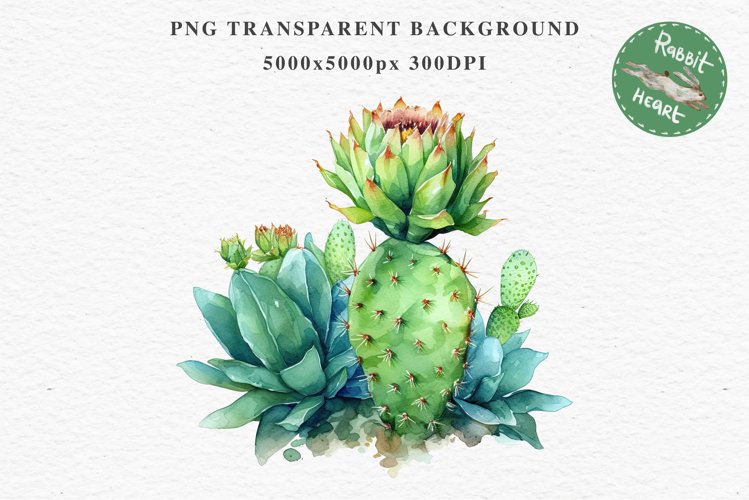 Transparent Background Flower Clipart Image 19