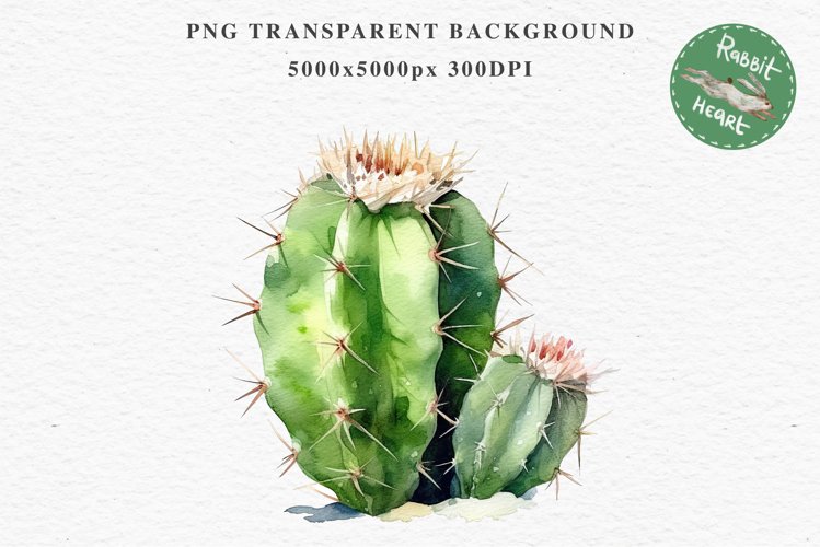 Transparent Background Flower Clipart Image 14