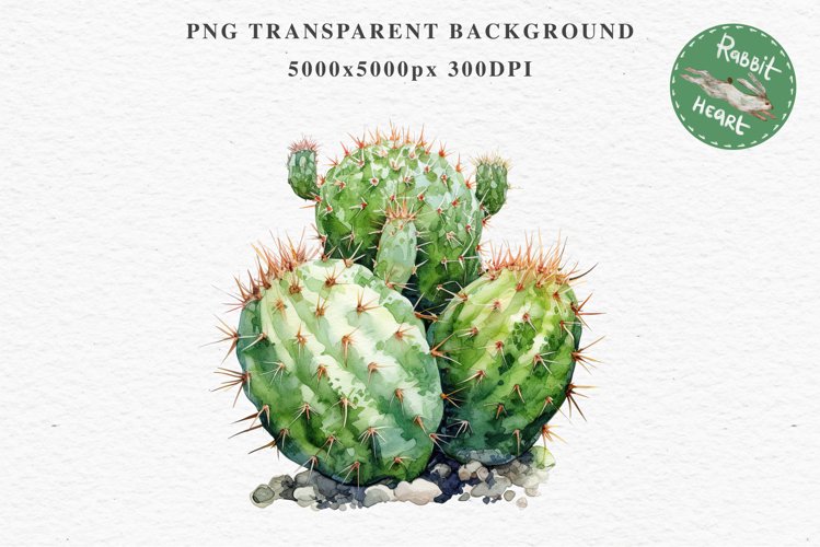 Transparent Background Flower Clipart Image 15