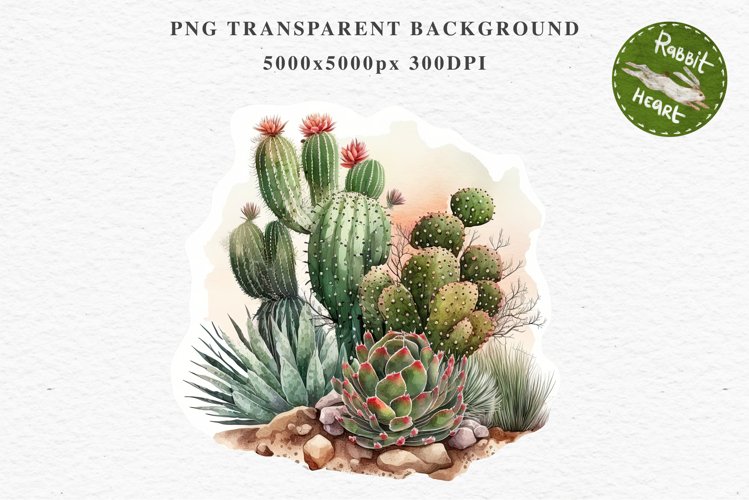 Desert Cactus Succulent Flowers Floral Clipart PNG Scrapbook