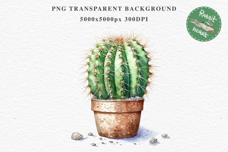 Transparent Background Flower Clipart Image 12
