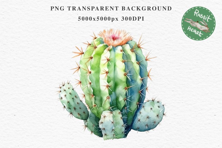 Transparent Background Flower Clipart Image 23