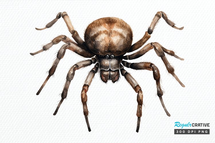 Halloween Clipart Png Image 12