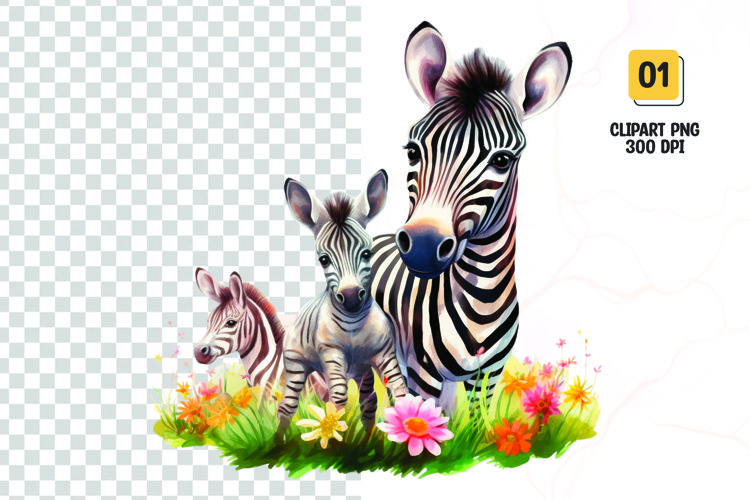 Watercolor zebra sublimation clipart png