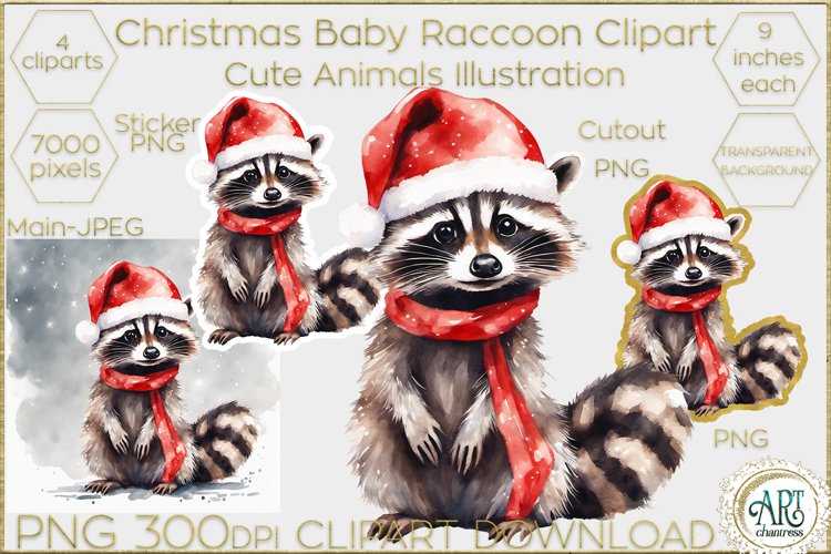 Christmas Funny Baby Raccoon Clipart Cute Xmas Festive Image