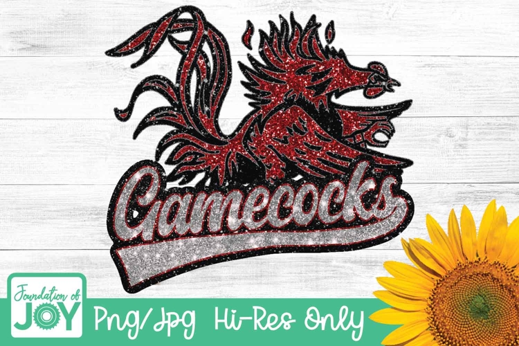 Gamecocks Football png, Football season example image 1