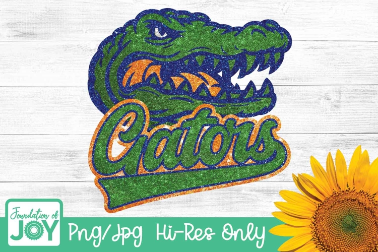 Gators Football png, Football season, Glitter football