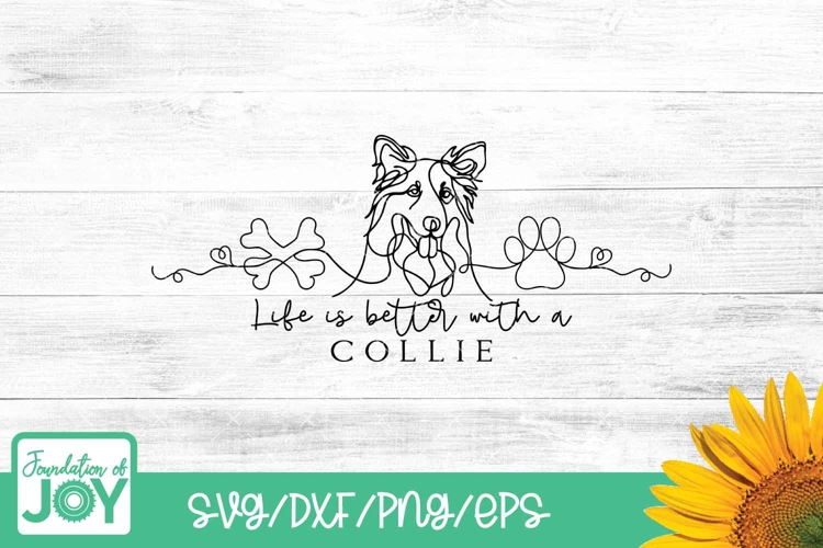 Life is Better with a Collie