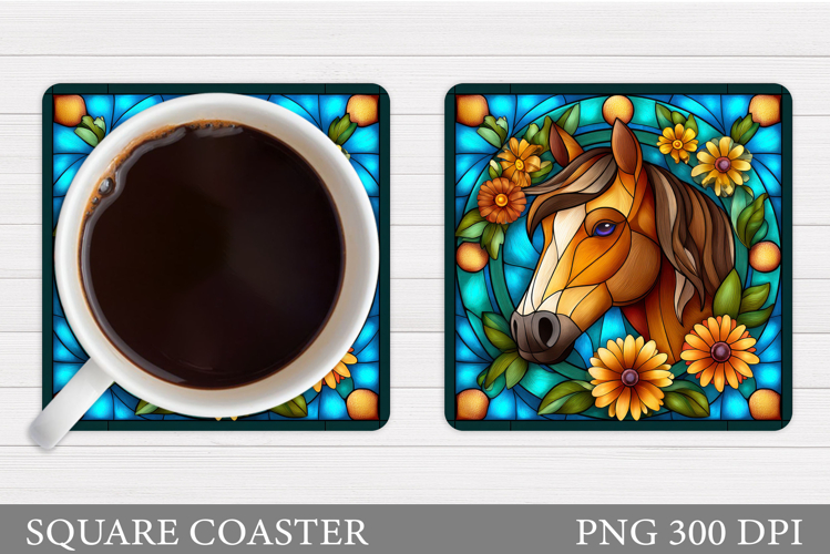 Cute Horse Pictures Image 5