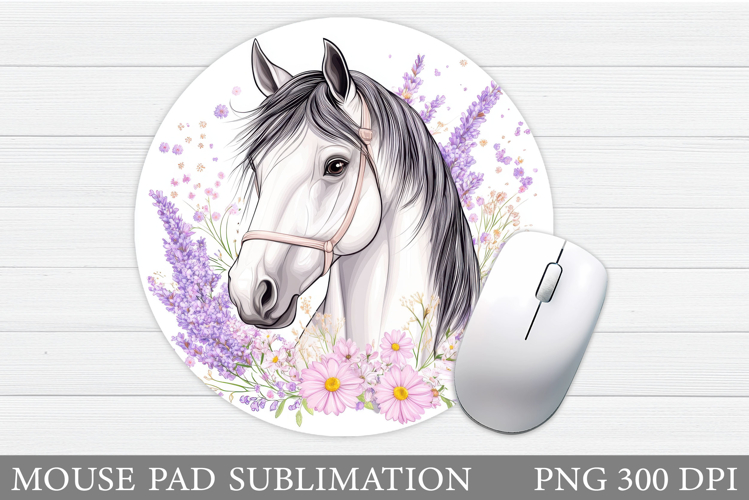 Cute Horse Pictures Image 9