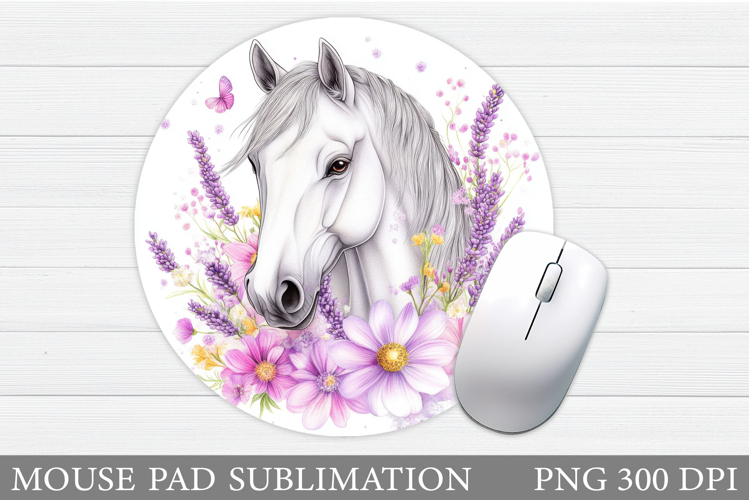 Cute Horse Pictures Image 8