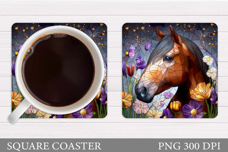 Cute Horse Pictures Image 3