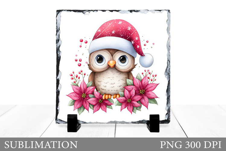 Christmas Owl Sublimation. Christmas Owl Slate Design