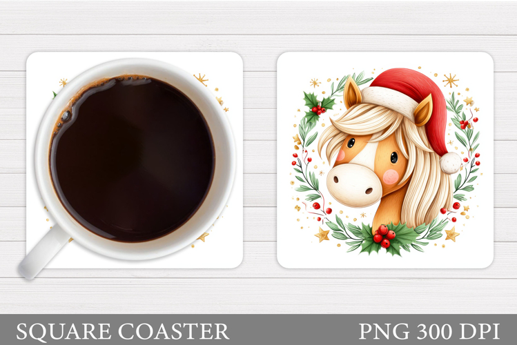 Cute Horse Pictures Image 16