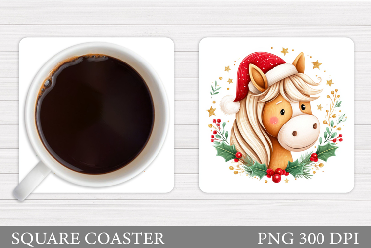 Cute Horse Pictures Image 11