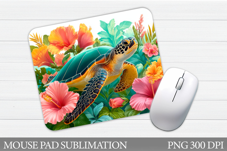 Turtle Png Image 24