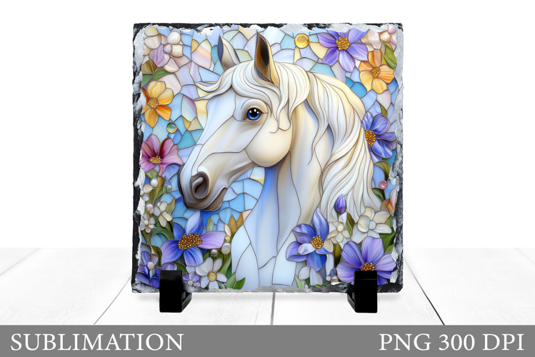 Cute Horse Pictures Image 10