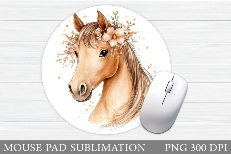 Cute Horse Pictures Image 7