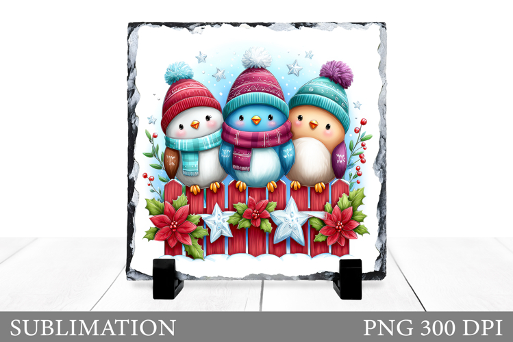 Christmas Bird Sublimation. Christmas Bird Slate Design