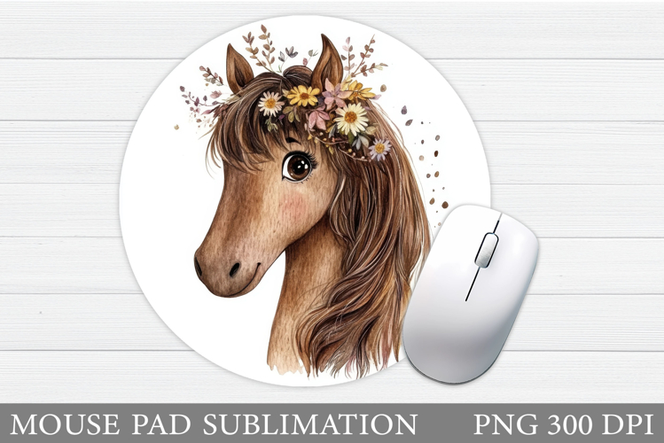 Cute Horse Pictures Image 17