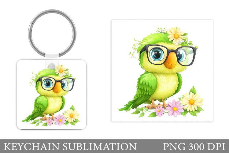 Parrot Clipart Image 19