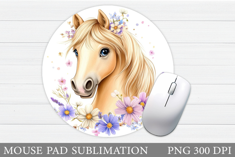 Cute Horse Pictures Image 15